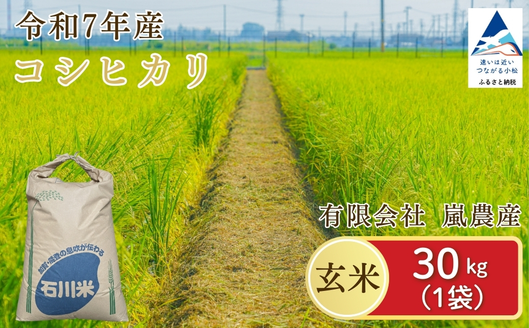 令和7年産 コシヒカリ 玄米 30kg 米 コメ お米 げんまい 石川県産 小松市産 【有限会社嵐農産】
