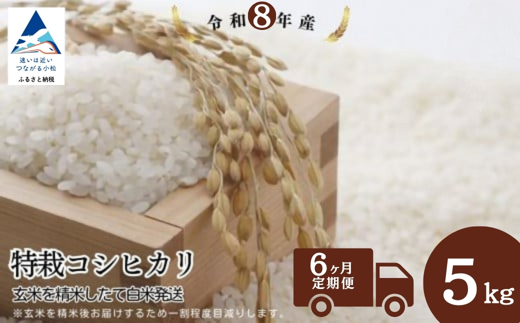 【先行予約】【定期便】令和8年産 特栽コシヒカリ 玄米 5kg×6ヶ月（毎月） 精米したて発送 精米 白米 こしひかり | 石川県 小松市【のむら農産】