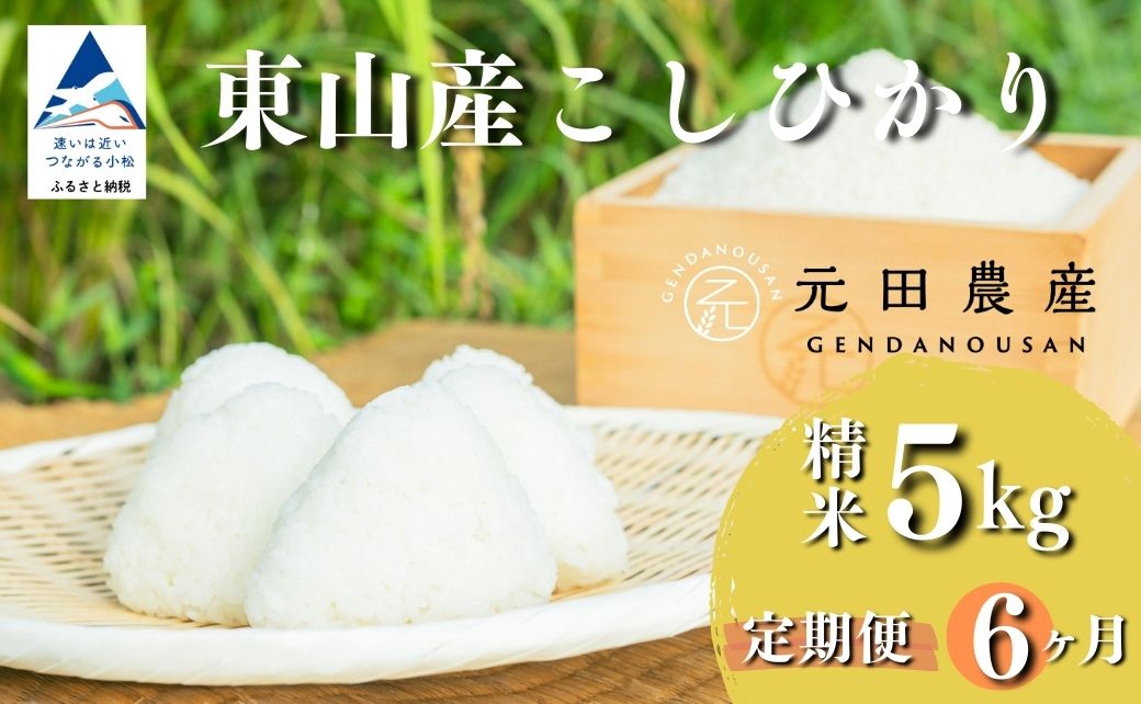 【定期便】令和7年産 コシヒカリ 精米 5kg×6ヶ月（毎月） お米 白米 こしひかり｜石川県 小松市 【元田農産】