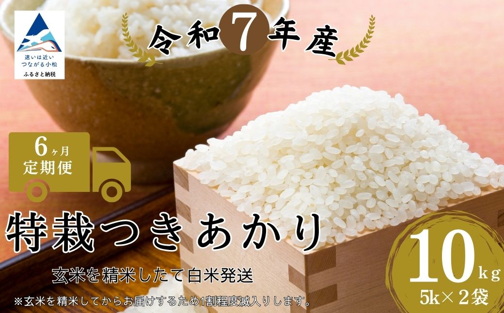 【６ヶ月定期便】特栽つきあかり（玄米10kを精米したて白米発送）令和7年産 | 石川県 小松市【のむら農産】