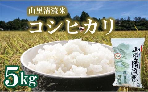 【最高の食味】山里清流米コシヒカリ精米５ｋｇ