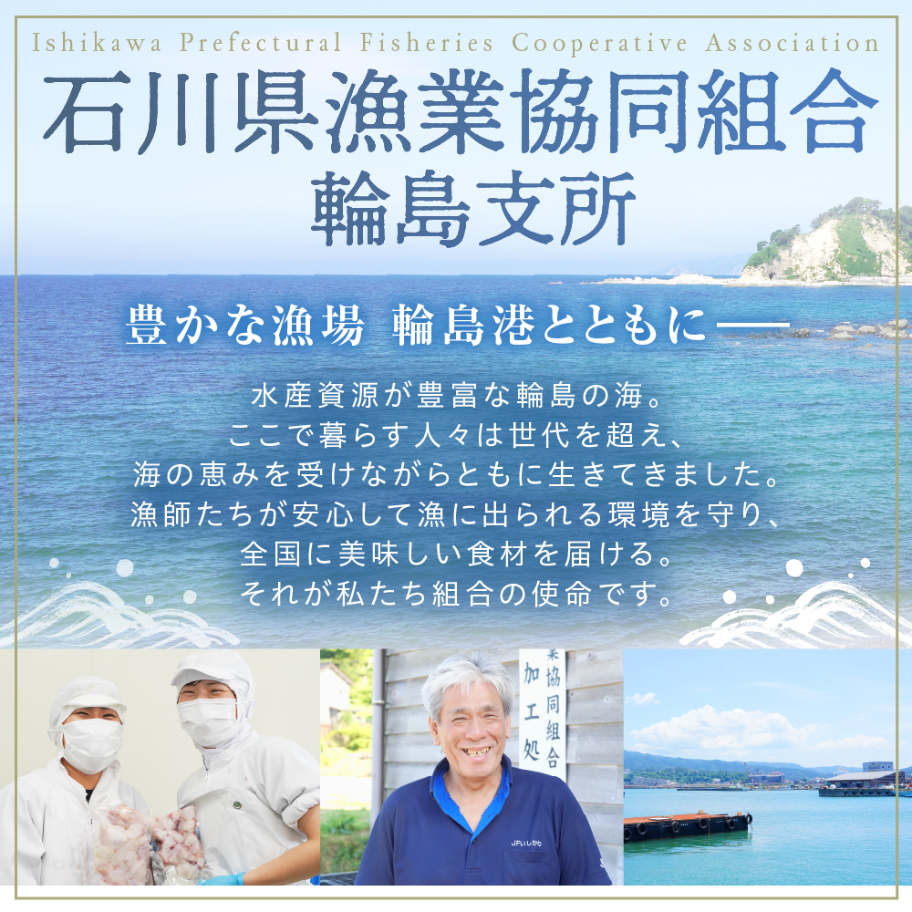 【輪島ふぐ箸付き】輪島港水揚げ天然ふぐ　ふぐ鍋セット（骨付き切り身＆白子） wa001-016
