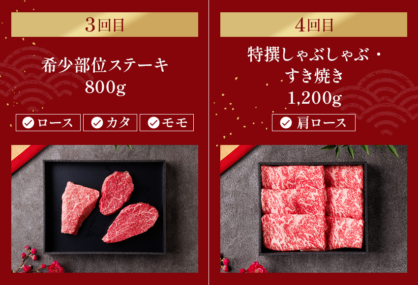 【定期便】【和牛セレブ】能登牛「ファーストクラス」全6回 wa111-052