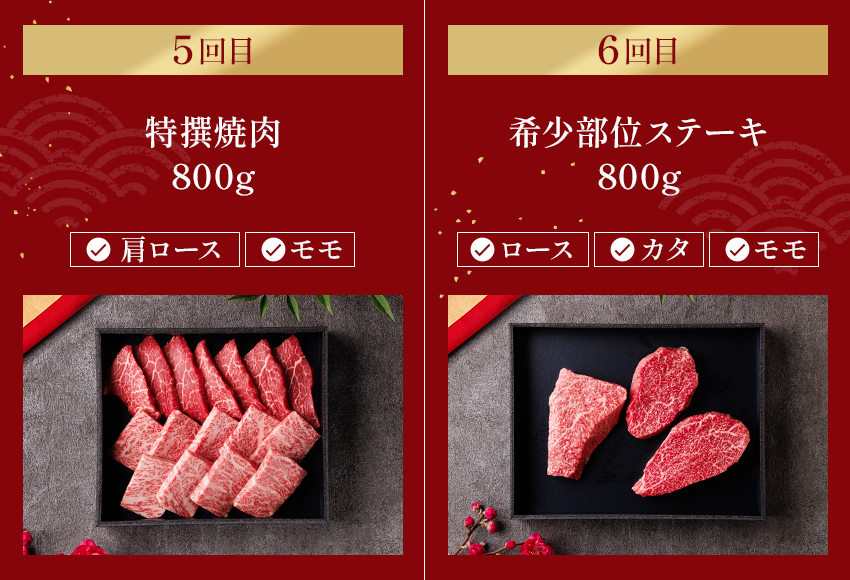 【定期便】【和牛セレブ】能登牛「ファーストクラス」全6回 wa111-052