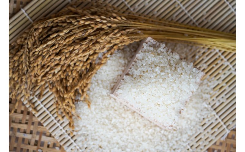 珠洲復興米 キューブ 3個組（特別栽培米 石川県珠洲市産 コシヒカリ） お米 精米 真空パック 白米 ごはん 甘み ふっくら