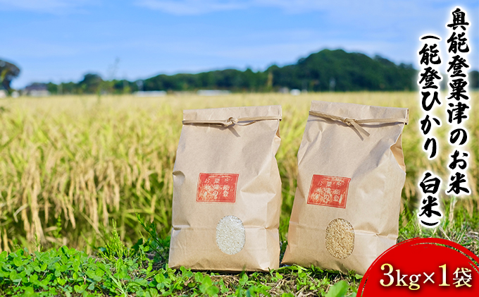 【令和7年度産】奥能登粟津のお米（能登ひかり　白米）3kg×1袋