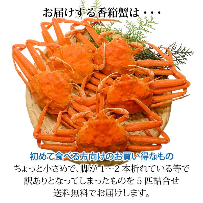 石川県産 香箱蟹 せいこ 訳あり 小さめ 5匹 詰合せ 12月16日～12月26日発送 浜茹で 産地直送 F6P-2773