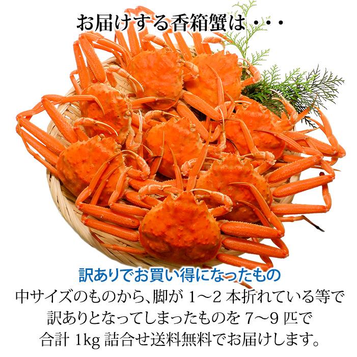 石川県産 香箱蟹 せいこ 訳あり 中サイズ 1kg 7～9匹 詰合せ 12月16日～12月26日発送 浜茹で 産地直送 F6P-2777