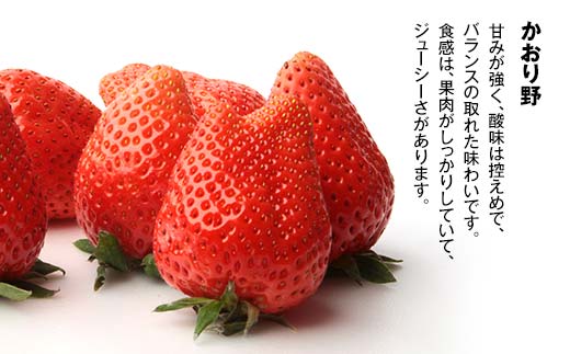 【先行予約】いちご かおり野 生食用 石川県加賀市産 800g（200g×4パック）2025年2月～4月下旬までに発送 いちご イチゴ 苺 かおり野 フルーツ 果物 くだもの 生果実 F6P-1995