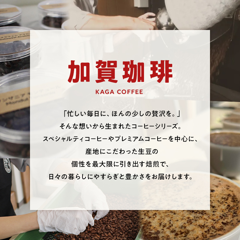 スペシャルティコーヒー・ドリップバッグ大容量12g 30袋詰め合わせセットG ブラジル・フルッタメルカドン 珈琲 コーヒー ドリップ 飲料 F6P-2807 セット G