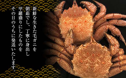 【冷蔵発送】毛ガニ甲羅盛り4杯入り かに 毛蟹 毛がに 毛ガニ 海の幸 カニ 蟹 ガニ 魚介 海産物 海鮮 食品 F6P-2462