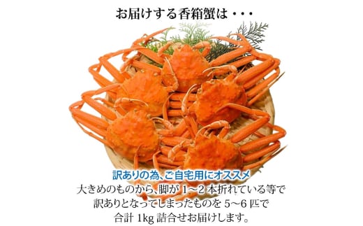 石川県産 香箱蟹 せいこ 訳あり 大きめ 1kg 5～6匹 詰合せ 12月16日～12月26日 浜茹で 産地直送 F6P-2775