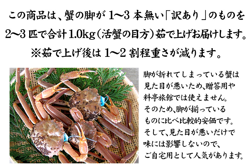 石川県産 加能かに ズワイガニ ( 産地証明タグ付 ) 訳あり 足折れ 小サイズ 2～3匹 合計1.0kg 12月16日～12月26日発送 産地証明 訳あり 家庭用 自宅用 足折れ 先行予約 予約 ブランド蟹 ボイル 茹で 蟹 復興 震災 コロナ 能登半島地震復興支援 北陸新幹線 F6P-2779