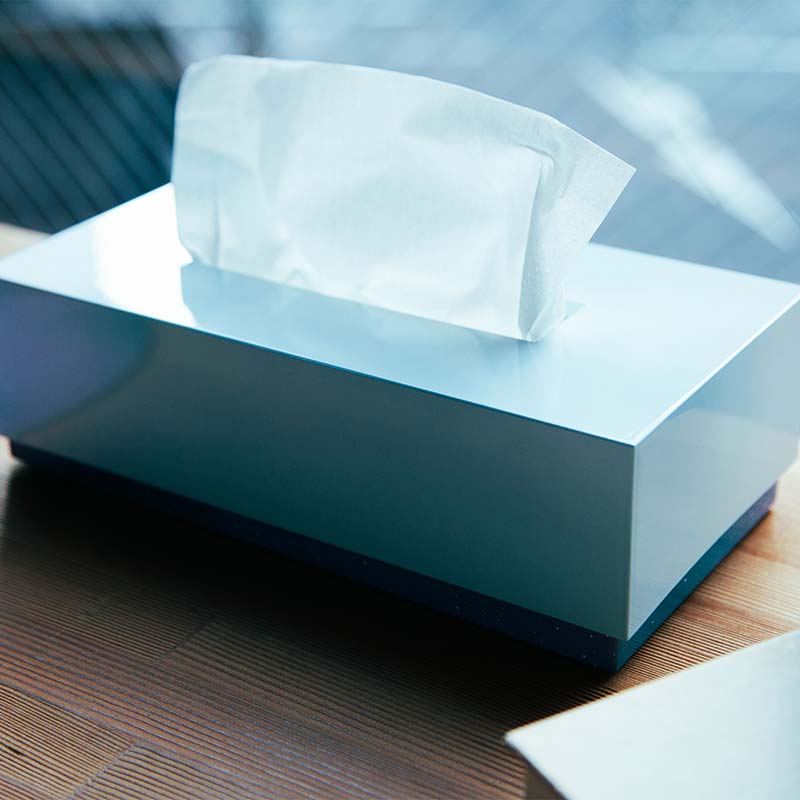 iroikoi いろいこい ティッシュボックス 雪景色 ティッシュケース ティッシュ ボックス 雑貨 ABS樹脂 日本製 F6P-1325