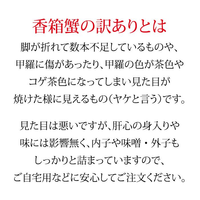 石川県産 香箱蟹 せいこ 訳あり 小さめ 5匹 詰合せ 12月16日～12月26日発送 浜茹で 産地直送 F6P-2773