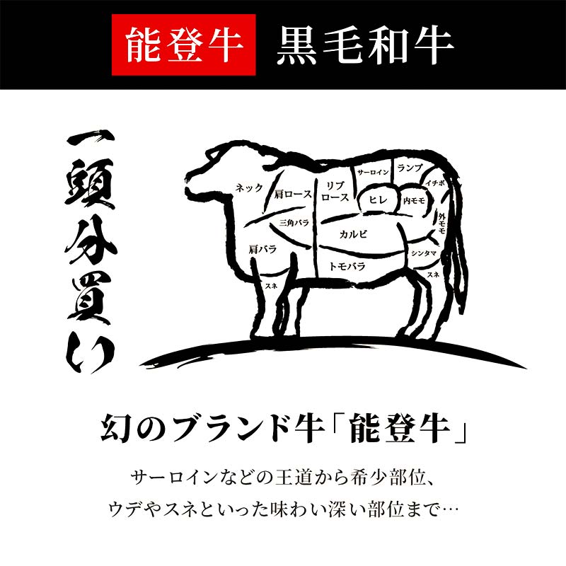 【和牛セレブ】【2026年1月以降発送】能登牛 一頭買い（12分割配送） 牛肉 最高級 一頭買い 黒毛和牛 能登牛 和牛セレブ F6P-2157