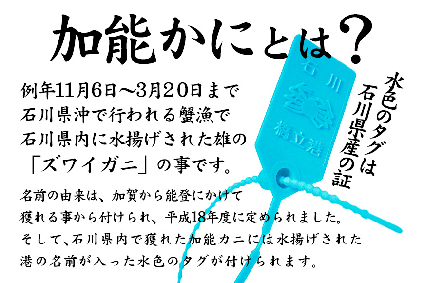 【12月16日～12月26日発送】【先行予約】【冷蔵発送】石川県産 加能かに ズワイガニ ( 産地証明タグ付 ) 茹で上げ前重量 約700g 1匹 大サイズ F6P-2751