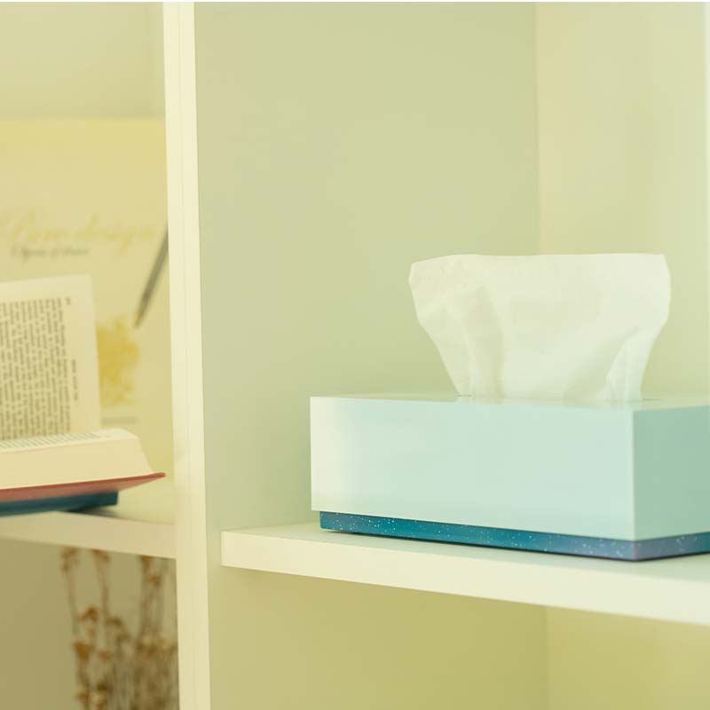 iroikoi いろいこい ティッシュボックス 雪景色 ティッシュケース ティッシュ ボックス 雑貨 ABS樹脂 日本製 F6P-1325