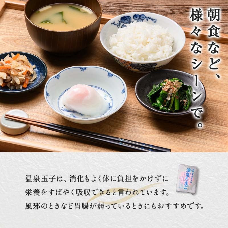 山中名物 温泉玉子 15個入り 山中温泉 温玉 全半熟 半熟 卵 たまご 小分け 朝食  グルメ 食品 復興 震災 コロナ 能登半島地震復興支援 北陸新幹線 F6P-2808