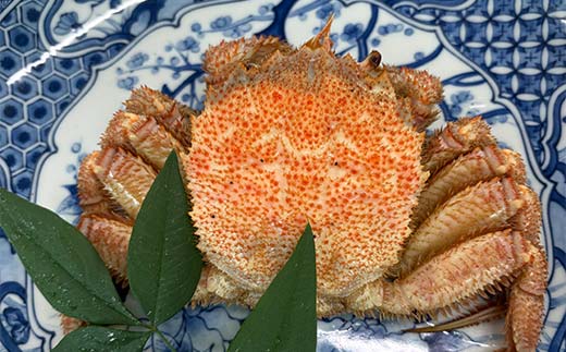 【冷蔵発送】毛ガニ甲羅盛り3杯入り かに 毛蟹 毛がに 毛ガニ 海の幸 カニ 蟹 ガニ 魚介 海産物 海鮮 食品 F6P-2461