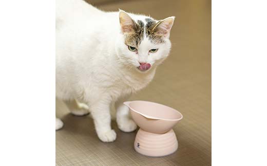 みやわん ねこ脚付きフードボウル 淡青色 ペット 犬 猫 いぬ ねこ フードボウル 食器 脚付き F6P-2501