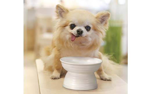 みやわん 脚付きフードボウル １７５ ＰＫ(ピンク) ペット 犬 猫 いぬ ねこ フードボウル 食器 脚付き F6P-2503