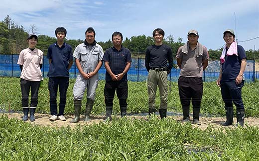 【2026先行予約】浜井さんの甘い！大玉スイカ　石川県加賀市産 スイカ 西瓜 デザート フルーツ 果物 F6P-2624