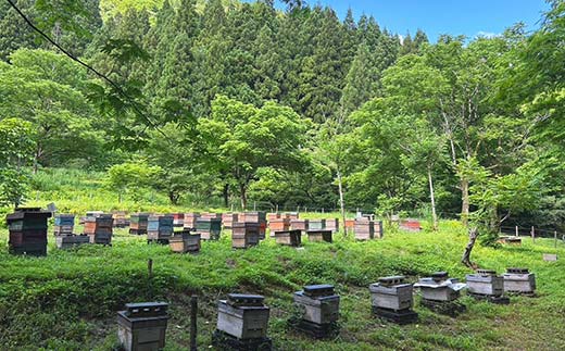 石川県産はちみつ あかしあ 400g ハチミツ 蜂蜜 加工品 調味料 食品 F6P-2816