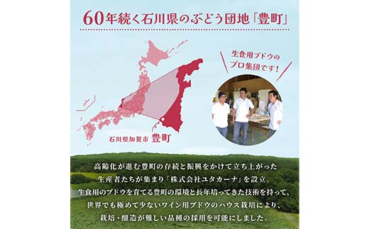 飲みやすいロゼスパークリングワイン ユタカーナ（750ml）2本 ぶどう ブドウ 葡萄 お酒 アルコール飲料 ピノ・ノワール ソーヴィニヨン・ブラン ロゼ  F6P-3164