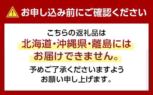 【先行予約】【冷蔵発送】朝茹で 加能ガニ 姿1杯 2025年11月上旬以降発送 カニ 朝ゆで 加能蟹 かのうがに 姿 ボイル 蟹 ズワイガニのオス 冷蔵発送 贈り物 ギフト ご当地 グルメ 海の幸 海産物 食品 F6P-2483