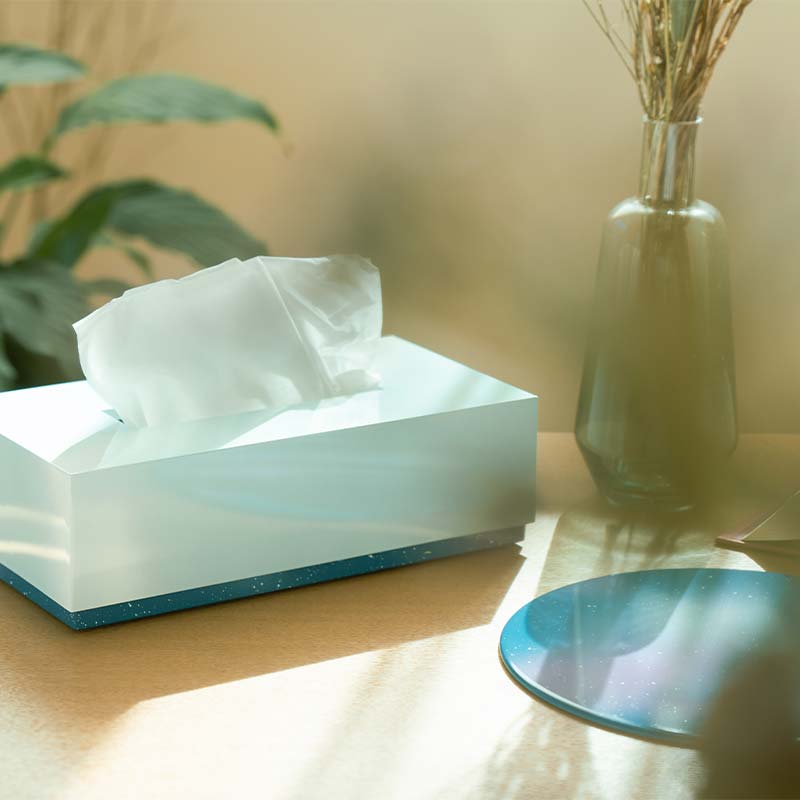 iroikoi いろいこい ティッシュボックス 雪景色 ティッシュケース ティッシュ ボックス 雑貨 ABS樹脂 日本製 F6P-1325
