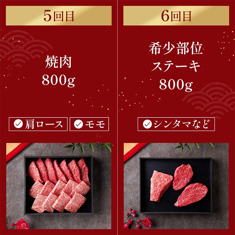 【和牛セレブ】【2026年1月以降発送】能登牛 定期便「ファーストクラス」全6回 牛肉 最高級 定期便 黒毛和牛 能登牛 和牛セレブ F6P-2162
