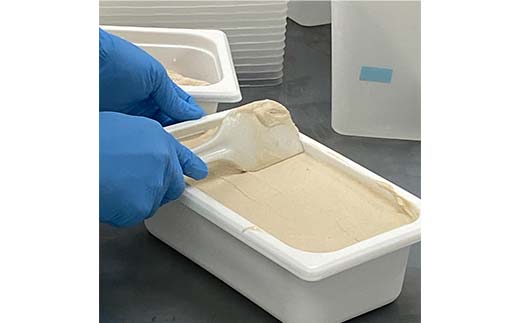 【12月発送】 ジェラート 2L 加賀の煎茶 F6P-2345