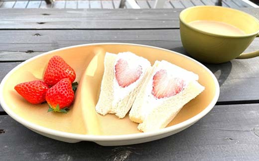 earth color 抗菌小判ランチプレート4P プレート 抗菌 樹脂製 テーブルウェア 日本製 F6P-2556