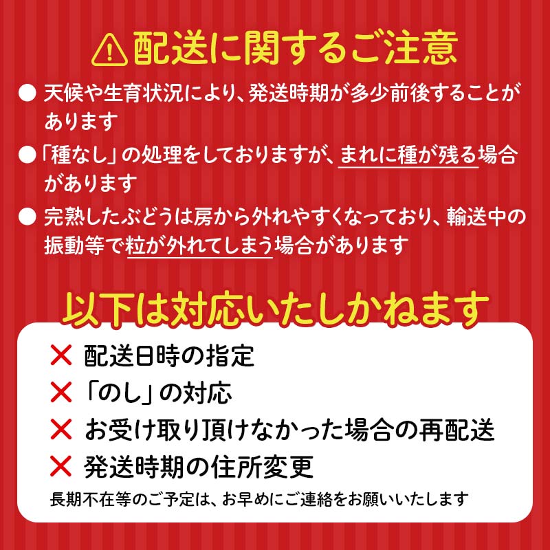 【2026年先行予約】シャインマスカット約1kg 石川県加賀市産（ご家庭用） シャインマスカット マスカット ぶどう ブドウ 葡萄 デザート フルーツ 果物 くだもの 果実 食品 F6P-2629
