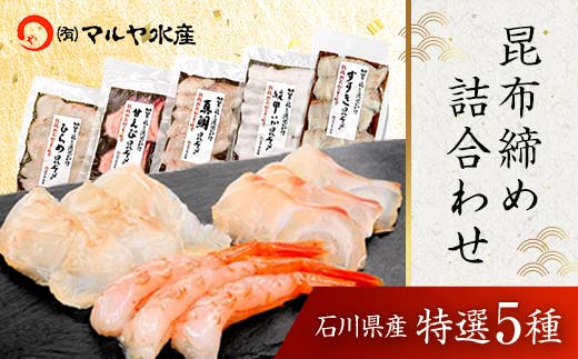 昆布締め詰合せ おまかせ5種 無添加 昆布締め 刺身 おまかせ セット 詰合せ 真空包装 おつまみ 肴 海産物 海の幸 魚介 国産 食品 復興 震災 コロナ 能登半島地震復興支援 北陸新幹線 F6P-0562