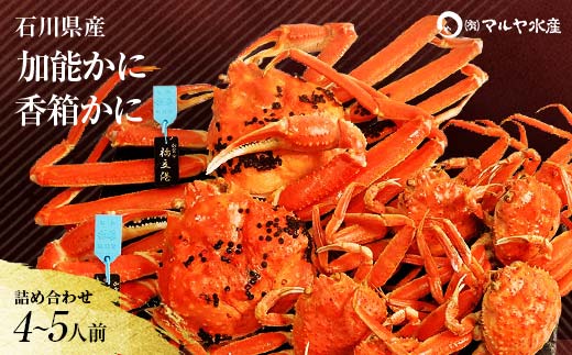 石川県産 加能かに ズワイガニ ( 産地証明タグ付 ) 大サイズ 2匹 + 香箱かに 5匹 詰合せ ( 4～5人前 ) 12月16日～12月26日発送 食べ比べ セット ズワイガニ ずわいがに 産地証明 先行予約 予約 ブランド蟹 ボイル 茹で 蟹 かに F6P-2767