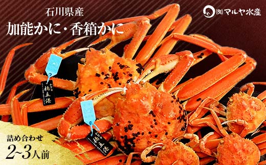 石川県産 加能かに ズワイガニ ( 産地証明タグ付 ) 中サイズ 2匹 + 香箱かに 3匹 詰合せ ( 2～3人前 ) 12月16日～12月26日発送 食べ比べセット ズワイガニ ずわいがに 産地証明 先行予約 予約 ボイル 茹で 蟹 かに F6P-2765