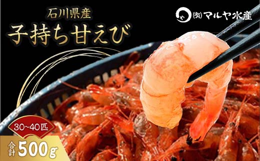 子持ち甘えび お刺身用 500g 30～40匹 産地直送 子持ち 甘えび 甘エビ 獲れたて 海老 エビ えび 刺身海産物 肴 国産 食品 復興 震災 コロナ 能登半島地震復興支援 北陸新幹線 F6P-0971