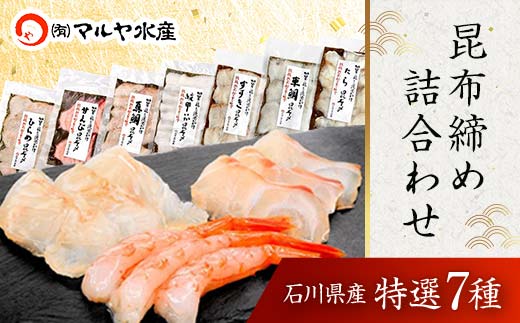 石川県・加賀市 昆布締め 刺身 おまかせ 7種 詰合せ 復興　震災　コロナ【能登半島地震復興支援】 北陸新幹線 F6P-1890