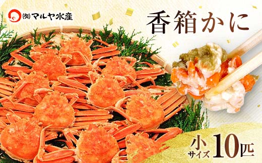 石川県産 香箱蟹 せいこ 小サイズ 10匹 詰合せ 12月16日～12月26日発送 浜茹で 産地直送 ズワイガニ ずわいがに ずわい蟹の雌 先行予約 予約 せいこ 蟹 かに グルメ 海産物 海の幸 食品 F6P-2769