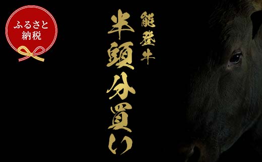 【和牛セレブ】【2026年1月以降発送】能登牛 半頭買い（一括配送） 牛肉 最高級 半頭買い 黒毛和牛 能登牛 和牛セレブ F6P-2158