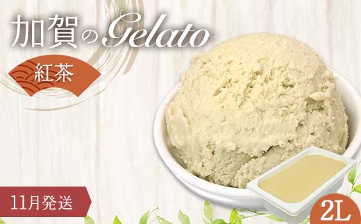 【11月発送】 ジェラート 2L 加賀の紅茶 F6P-2356