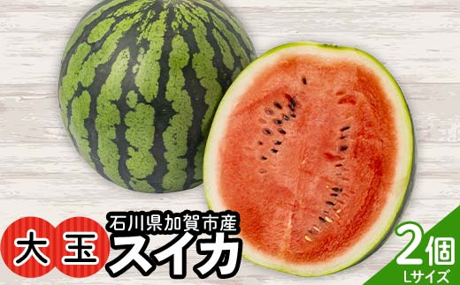 【2026先行予約】浜井さんの甘い！大玉スイカ　石川県加賀市産 スイカ 西瓜 デザート フルーツ 果物 F6P-2624