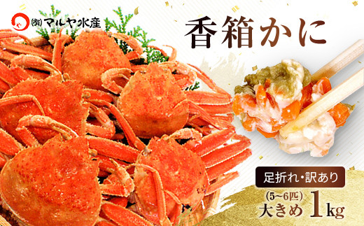 石川県産 香箱蟹 せいこ 訳あり 大きめ 1kg 5～6匹 詰合せ 12月16日～12月26日 浜茹で 産地直送 F6P-2775