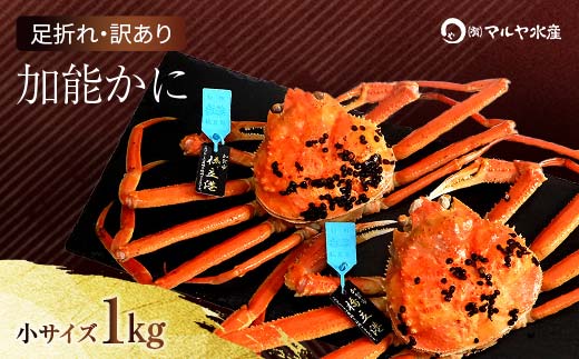 石川県産 加能かに ズワイガニ ( 産地証明タグ付 ) 訳あり 足折れ 小サイズ 2～3匹 合計1.0kg 12月16日～12月26日発送 産地証明 訳あり 家庭用 自宅用 足折れ 先行予約 予約 ブランド蟹 ボイル 茹で 蟹 復興 震災 コロナ 能登半島地震復興支援 北陸新幹線 F6P-2779
