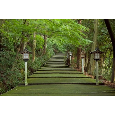 白山比め神社ガイド付き昇殿参拝