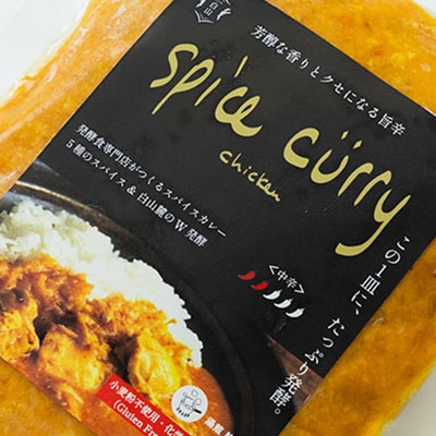 発酵スパイスカレー3個 ★5種のスパイスと白山麓のW発酵 芳醇な香り＆クセになる旨辛 グルテンフリー【配送不可地域：離島】