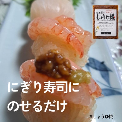 糀はじめてセット★発酵食の初心者ができる簡単レシピ付★お試しパックで失敗ナシ【配送不可地域：離島】