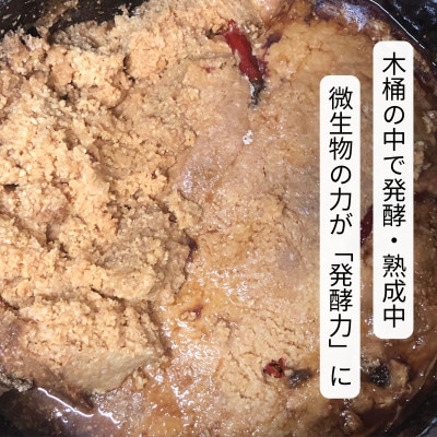 木桶仕込みの伝統味噌  500g×2個【配送不可地域：離島】